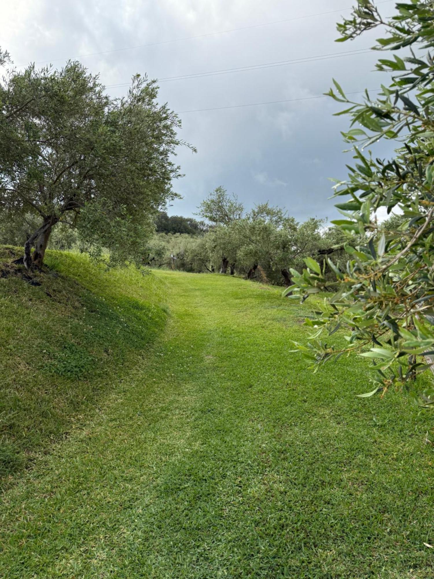 Agrolea Hotel Terme Vigliatore Eksteriør billede
