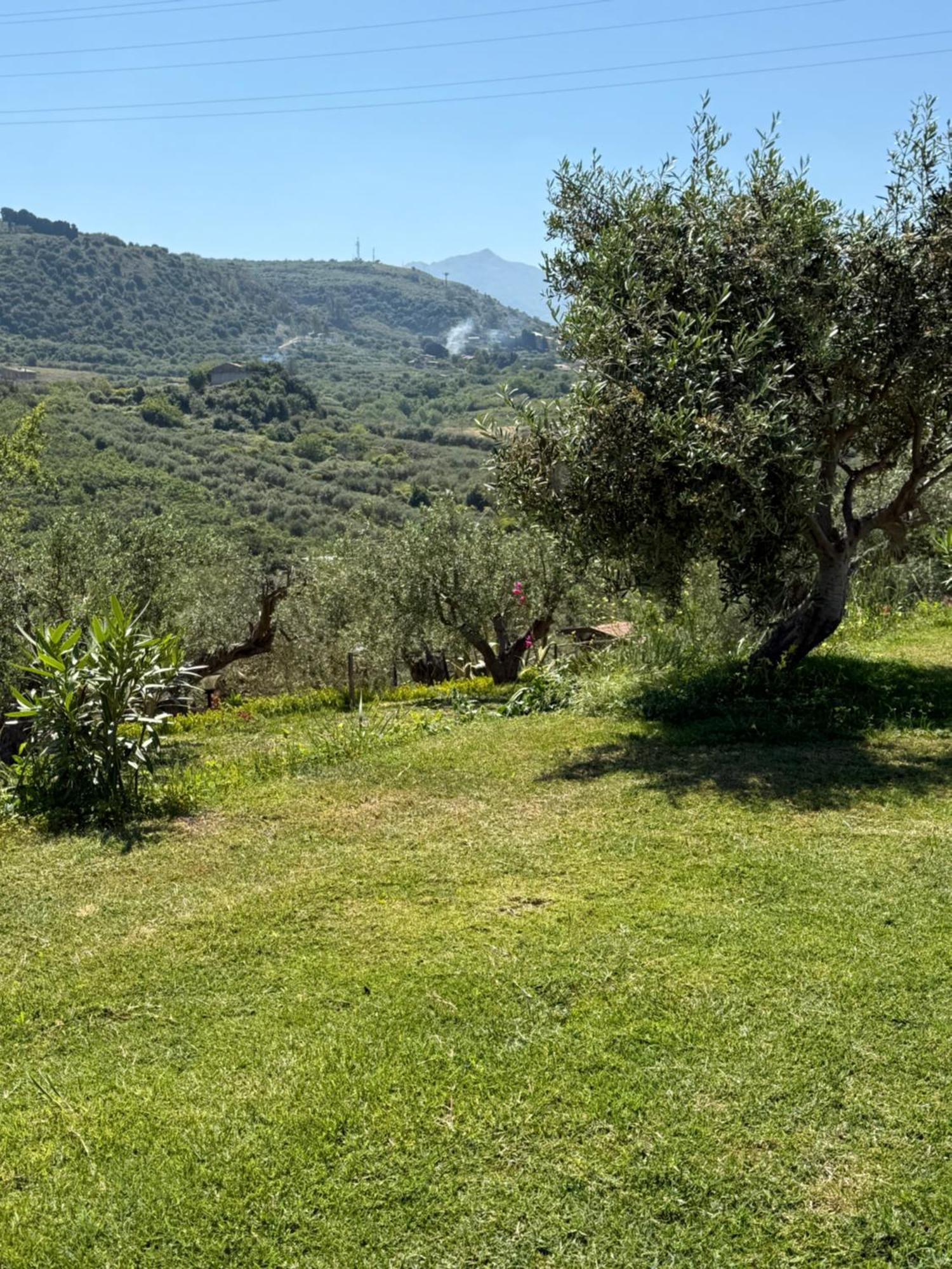 Agrolea Hotel Terme Vigliatore Eksteriør billede