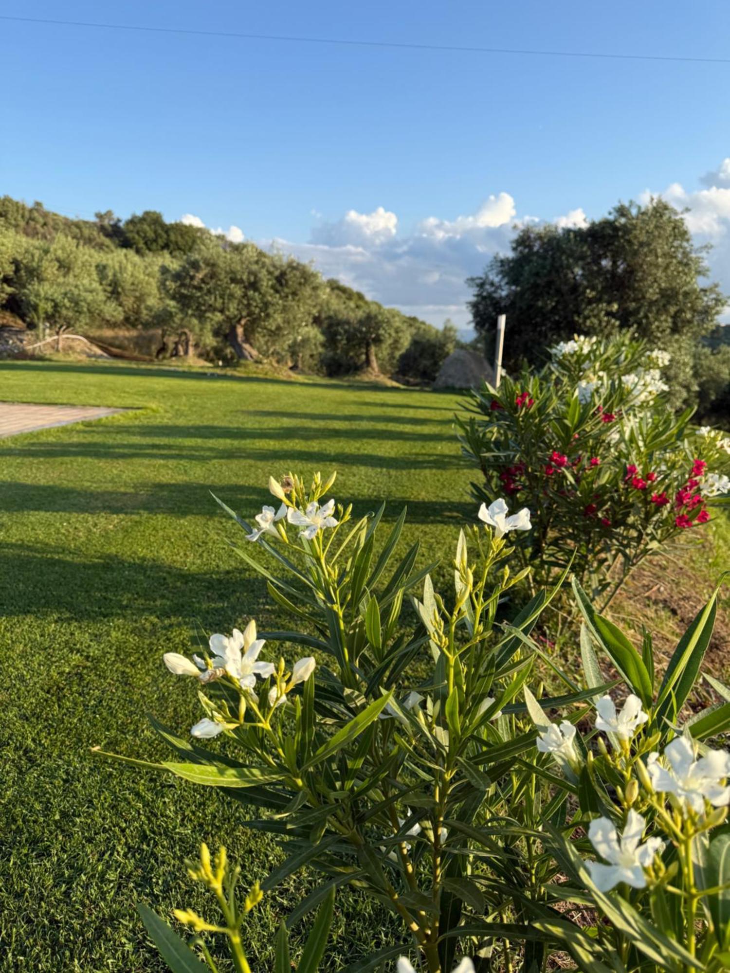 Agrolea Hotel Terme Vigliatore Eksteriør billede