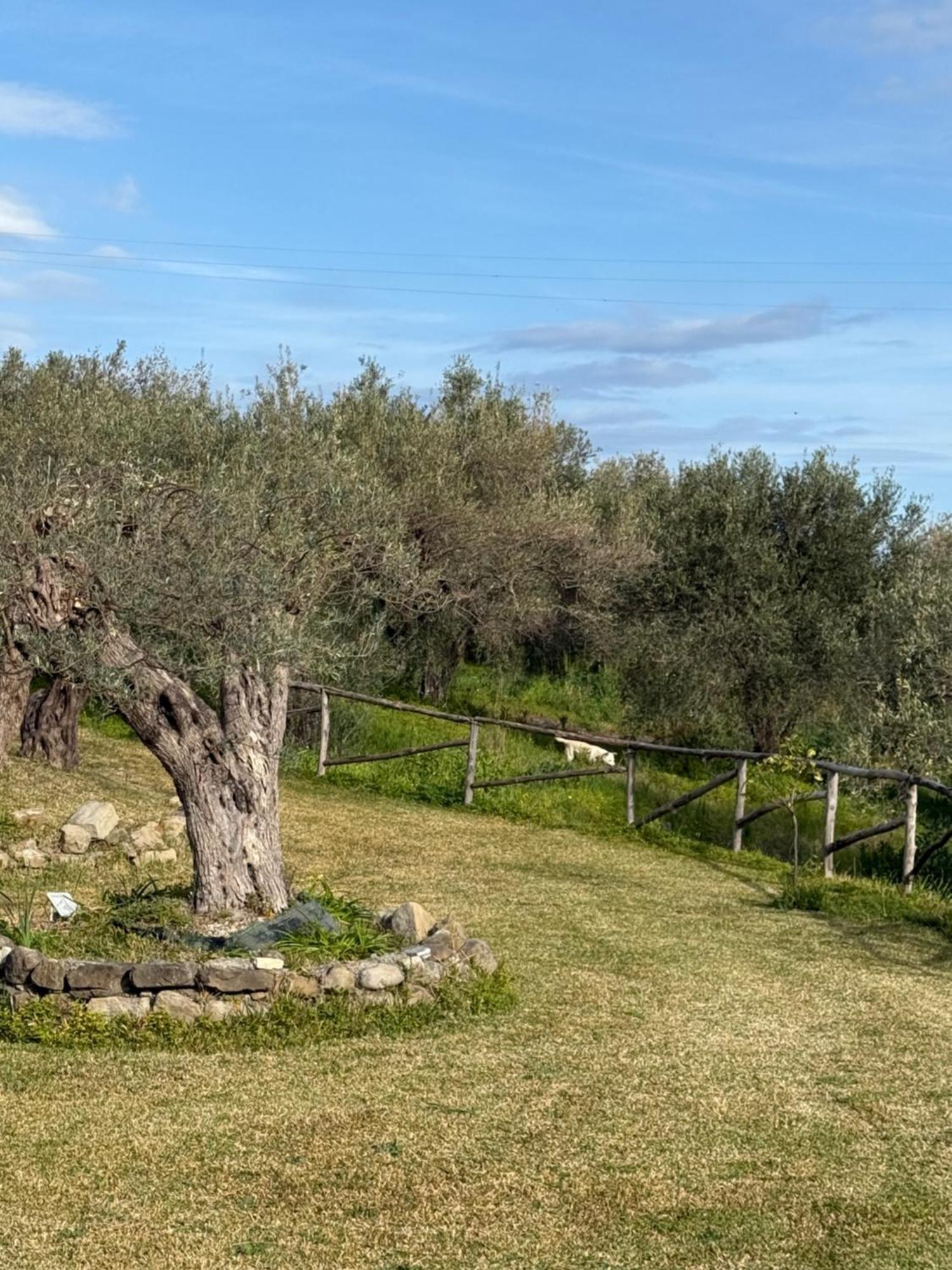 Agrolea Hotel Terme Vigliatore Eksteriør billede