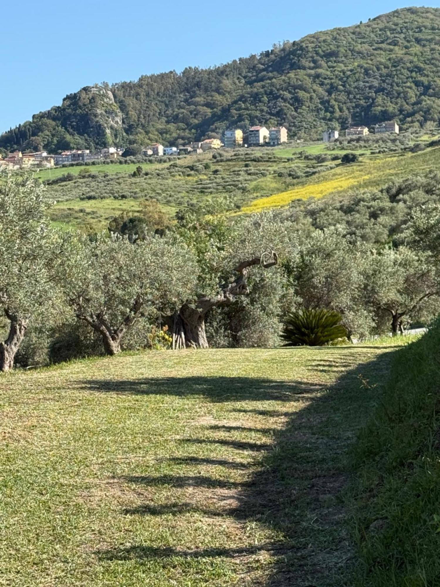 Agrolea Hotel Terme Vigliatore Eksteriør billede