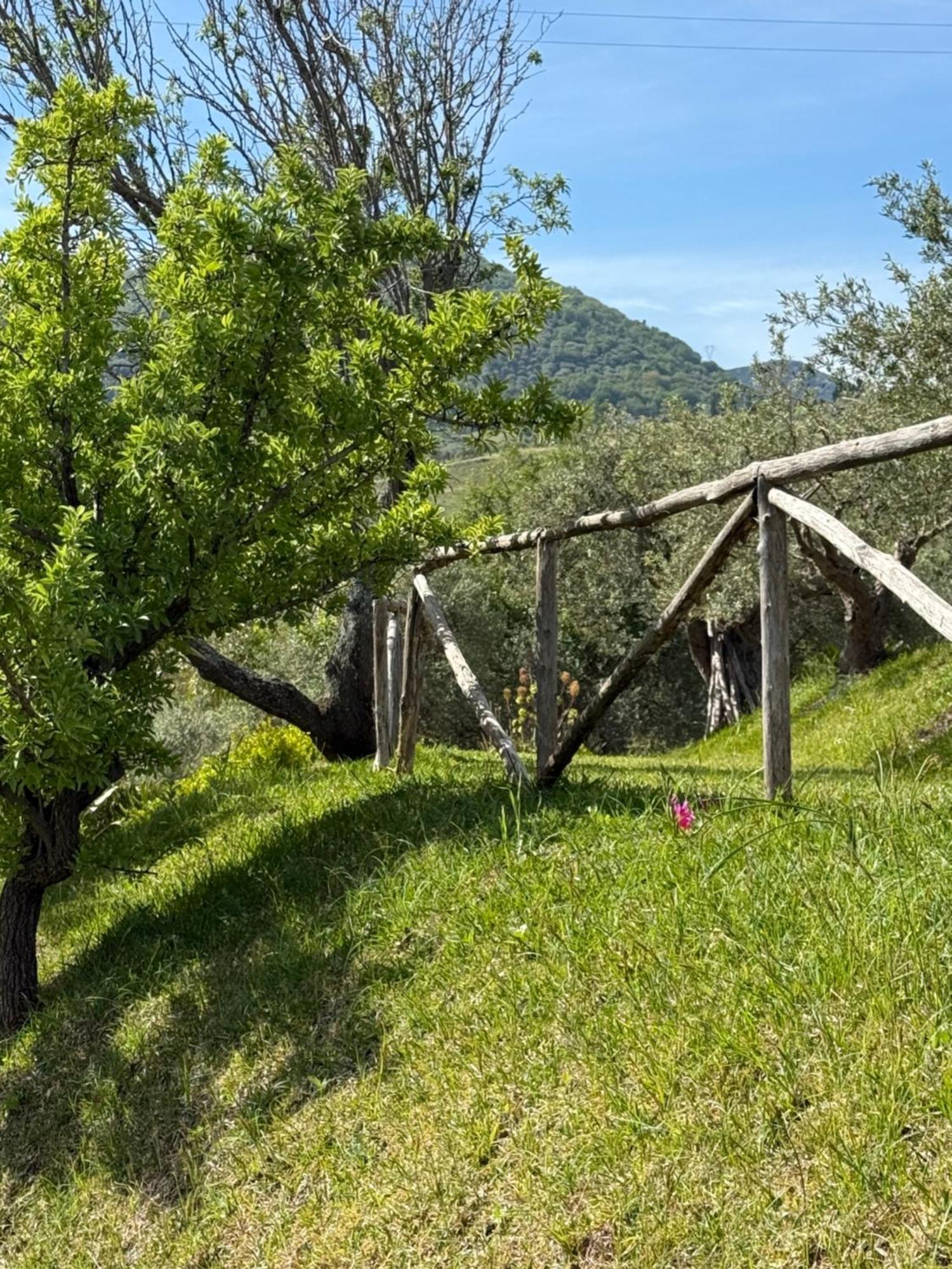 Agrolea Hotel Terme Vigliatore Eksteriør billede